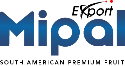 Mipal