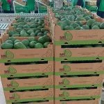 WhatsApp Image 2022-05-21 at 2.39.03 PM